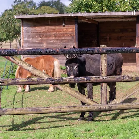 Le Grand Mesnil - Collection Idylliq * Pre-en-Pail-Saint-Samson